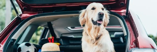 Relation client : Spoticar se met à l’IA agentique